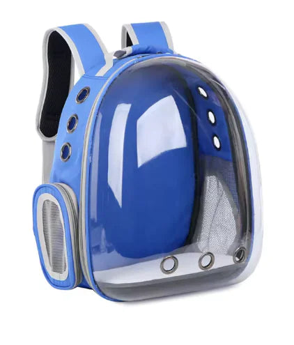 Transparent Cat Backpack
