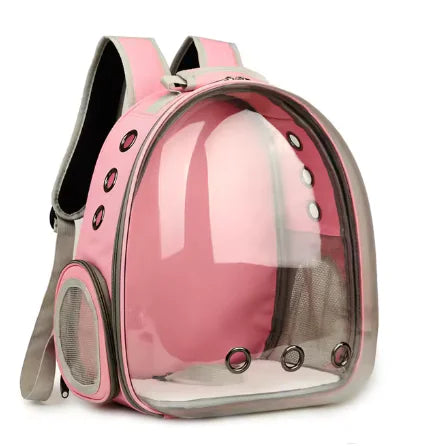 Transparent Cat Backpack