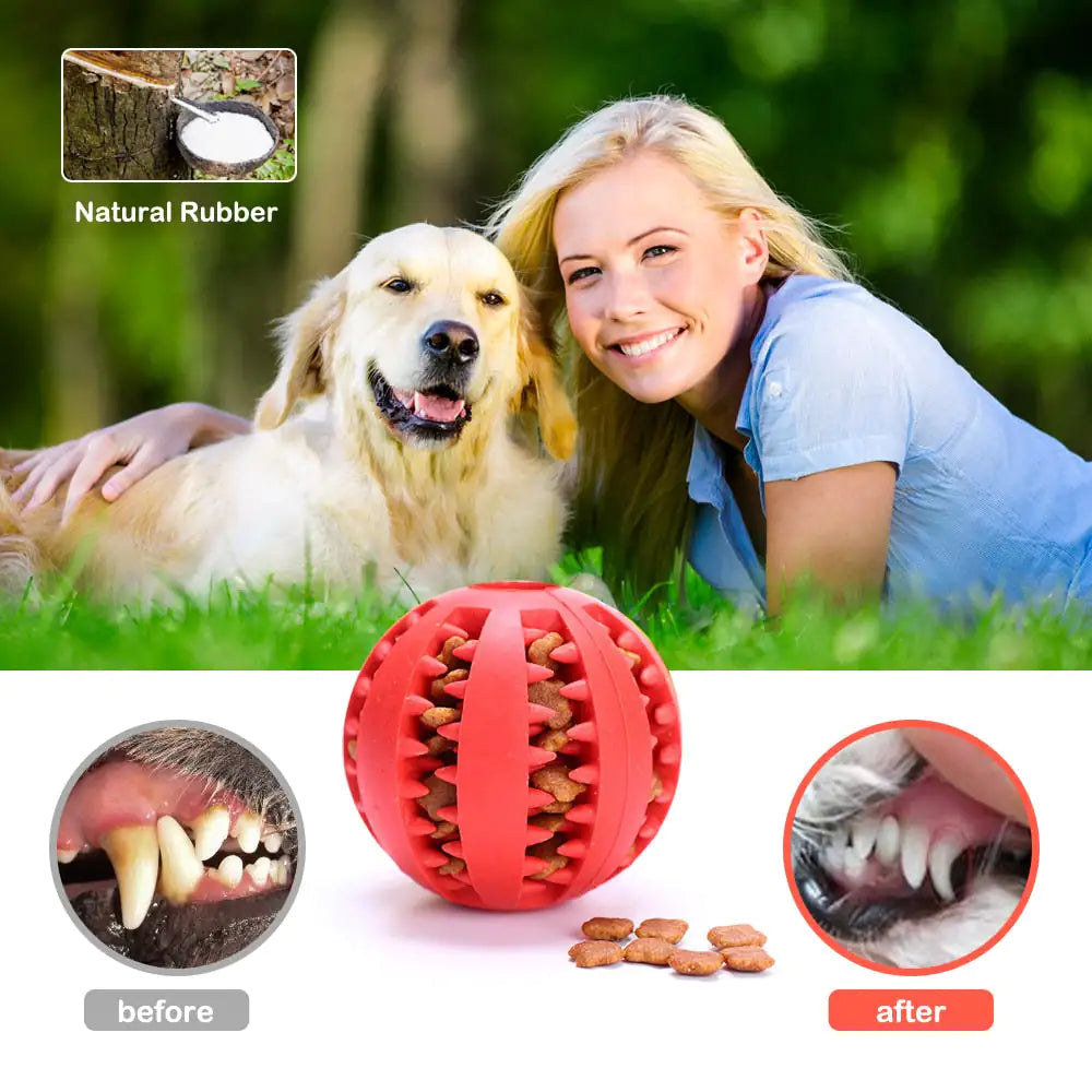 Toy Pet Rubber Feed Ball