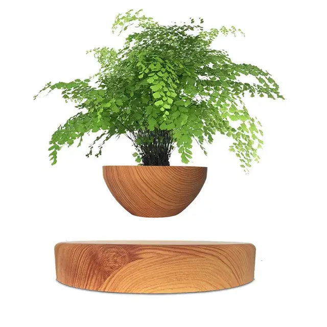 Levitating Bonsai Flower Pot