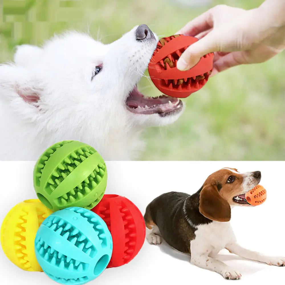 Toy Pet Rubber Feed Ball