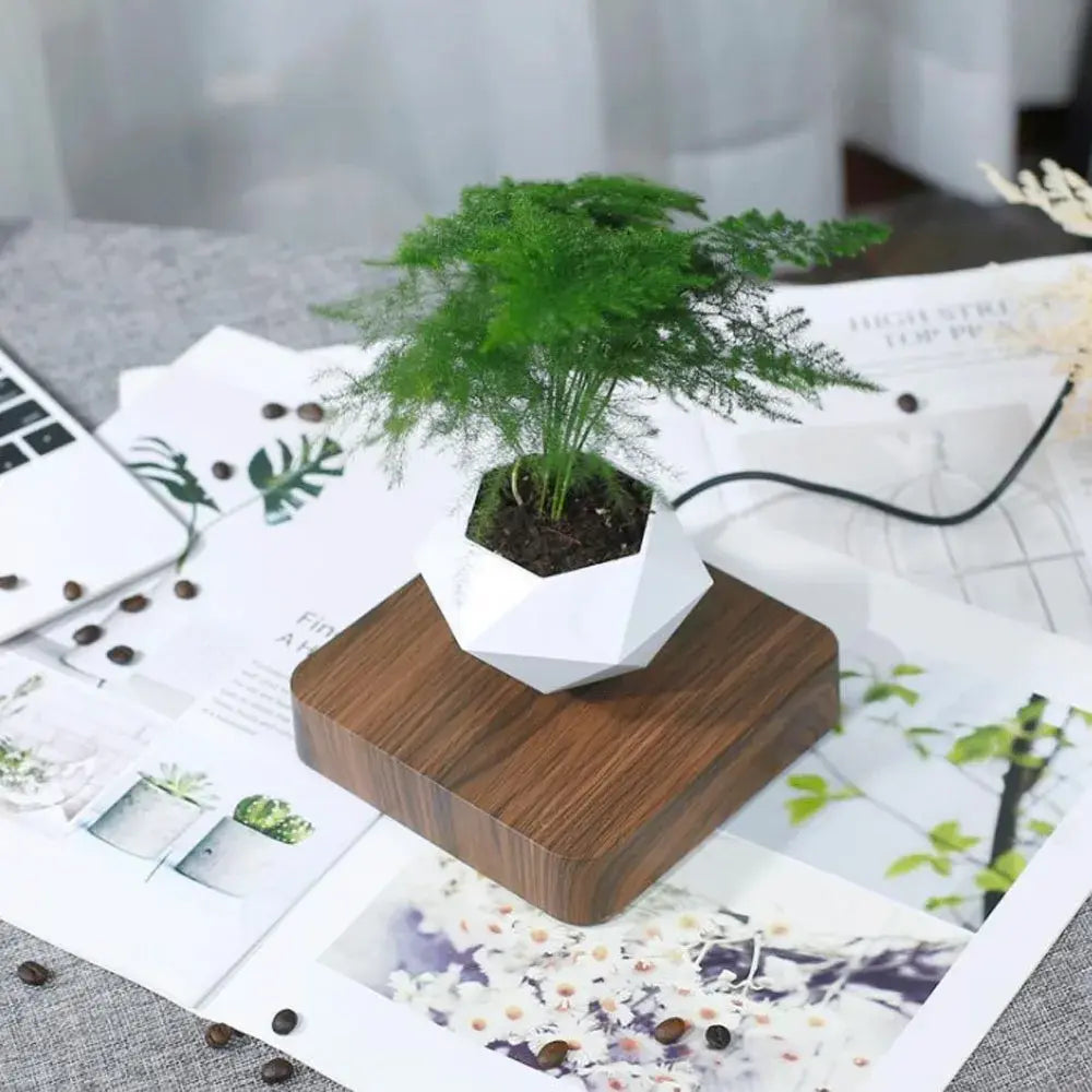 Levitating Bonsai Flower Pot