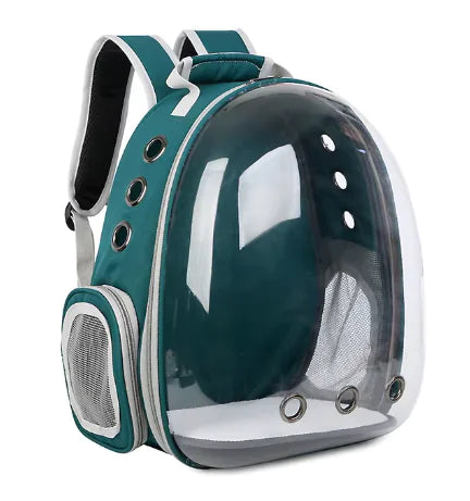 Transparent Cat Backpack