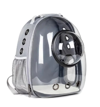 Transparent Cat Backpack