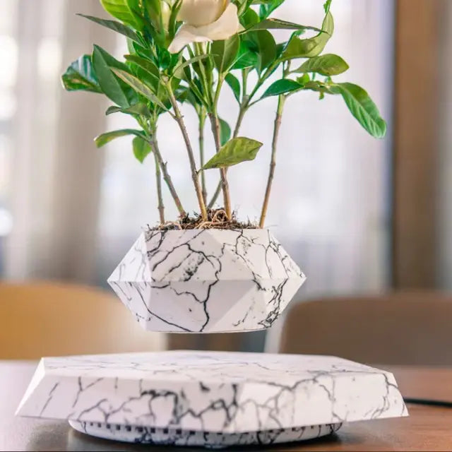 Levitating Bonsai Flower Pot
