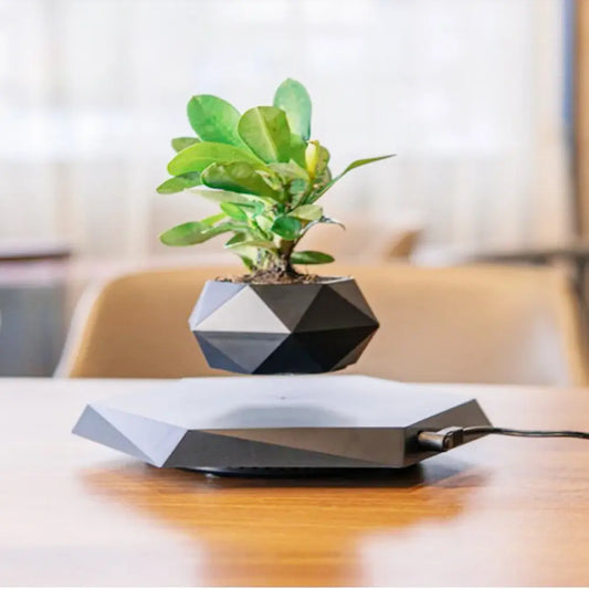 Levitating Bonsai Flower Pot