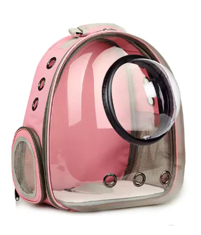 Transparent Cat Backpack