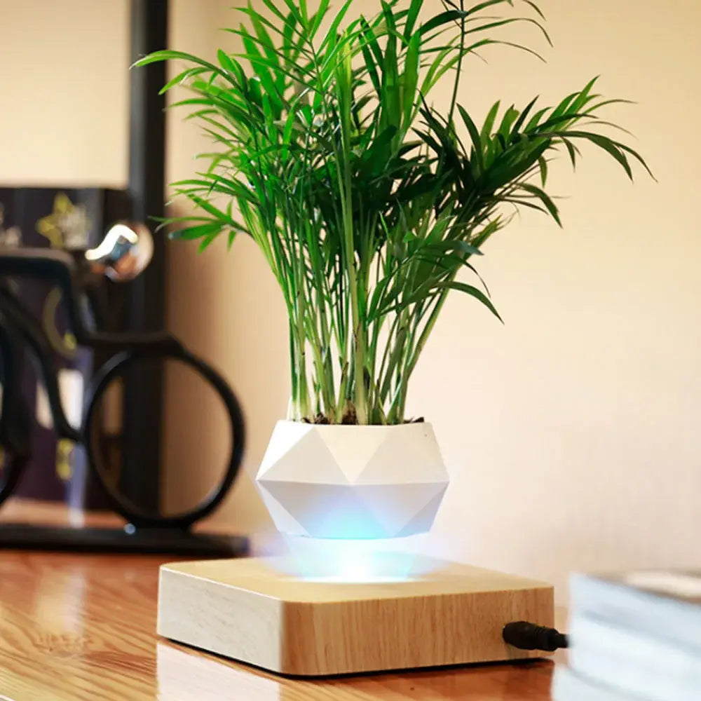 Levitating Bonsai Flower Pot
