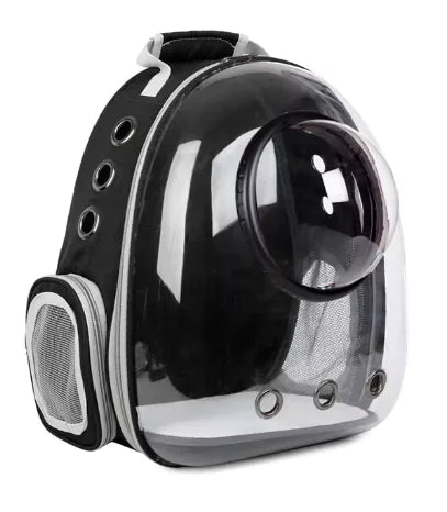Transparent Cat Backpack